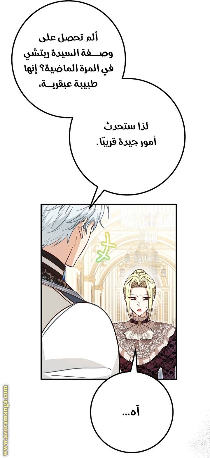 الصفحة 52