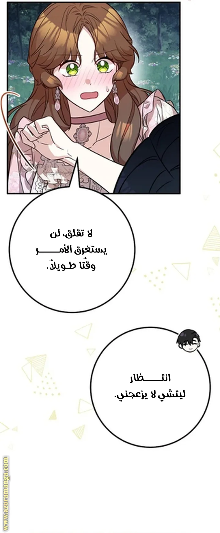 الصفحة 43