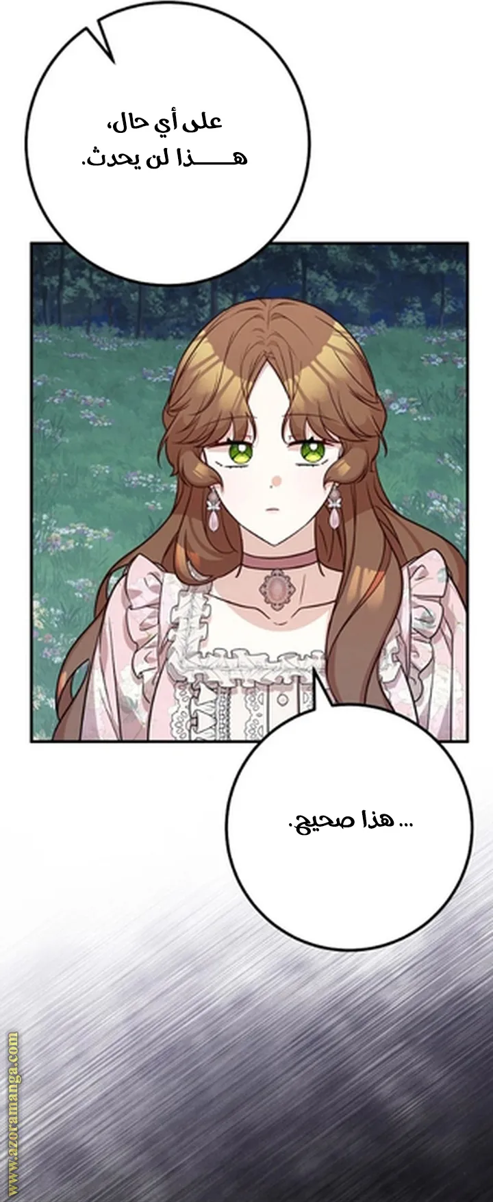 الصفحة 47