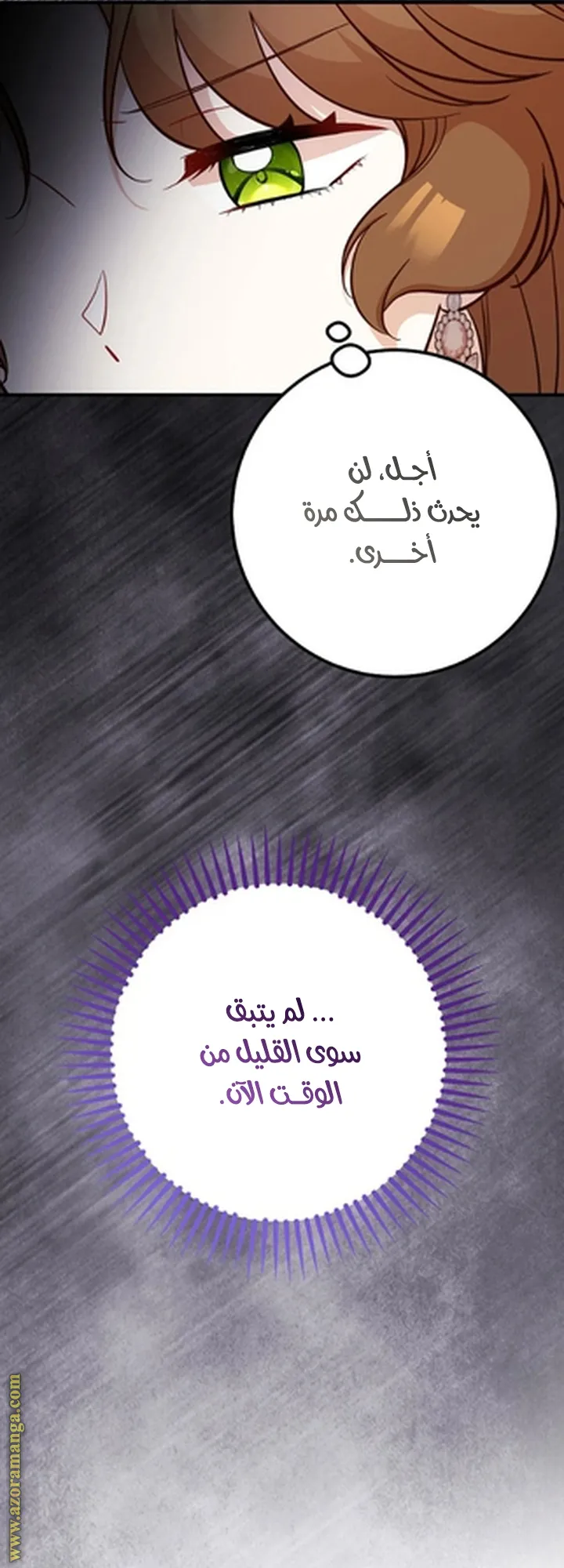 الصفحة 48