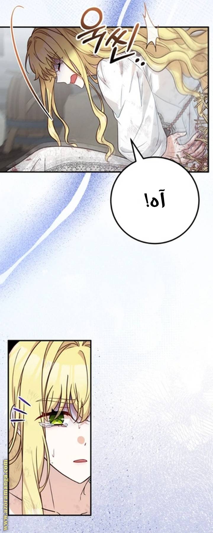 الصفحة 22