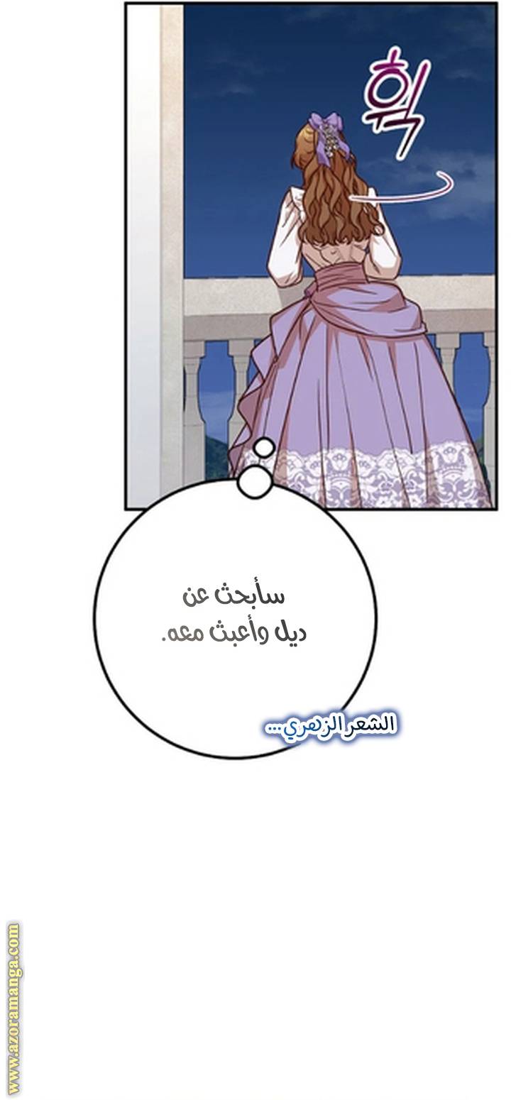 الصفحة 20