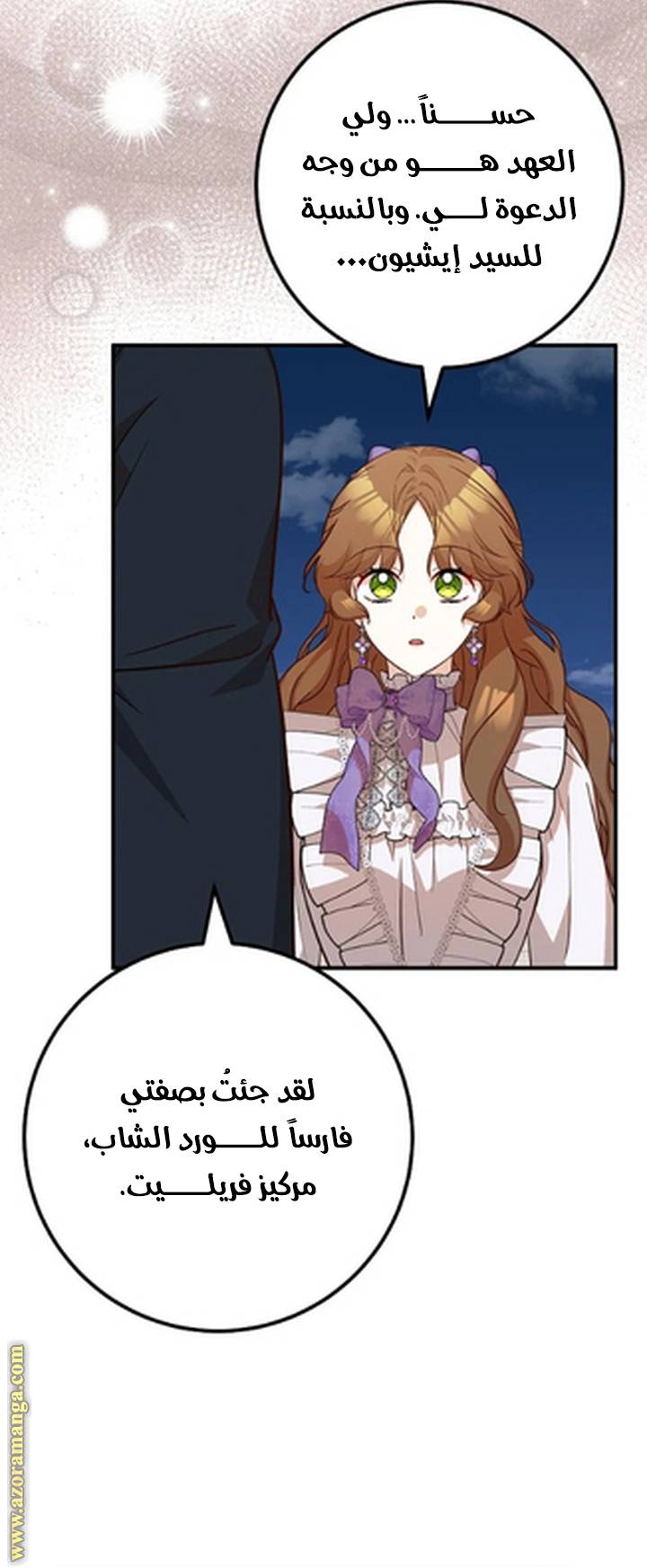 الصفحة 28