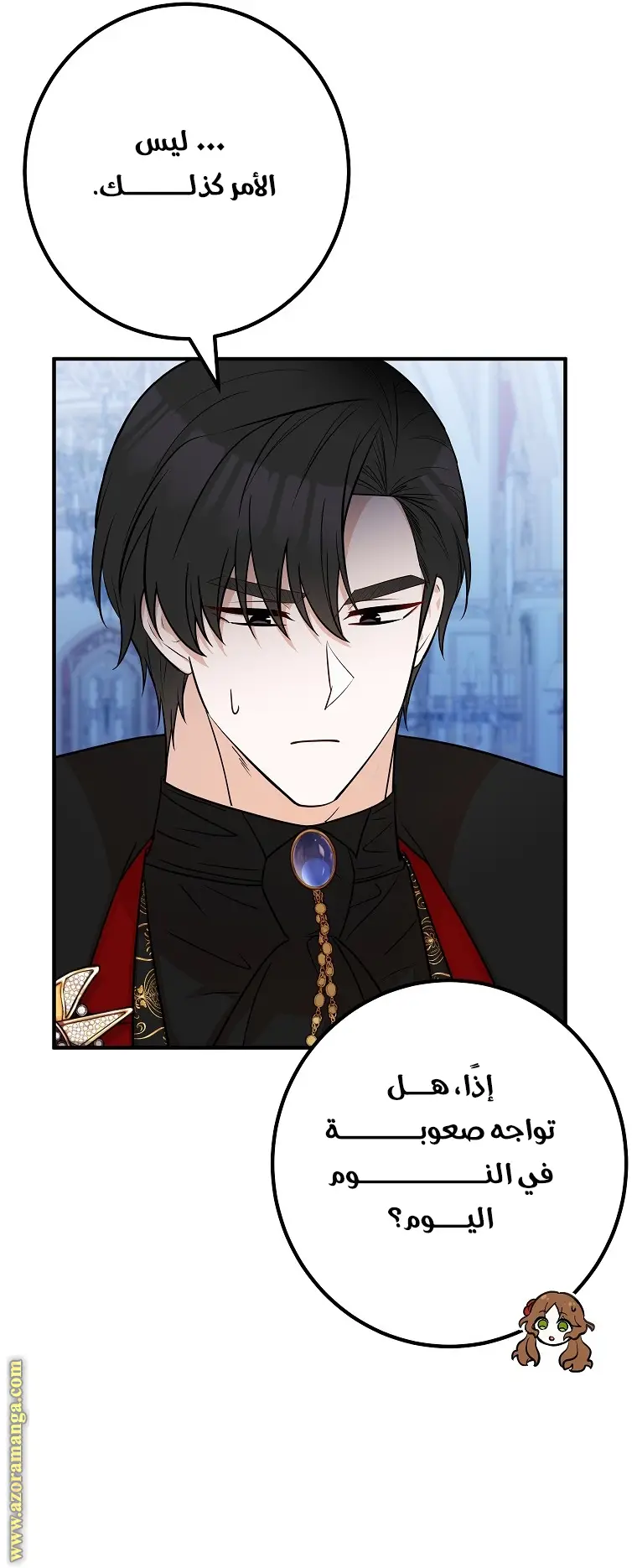 الصفحة 17