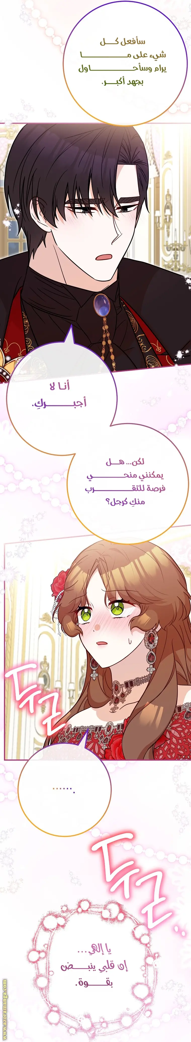 الصفحة 29