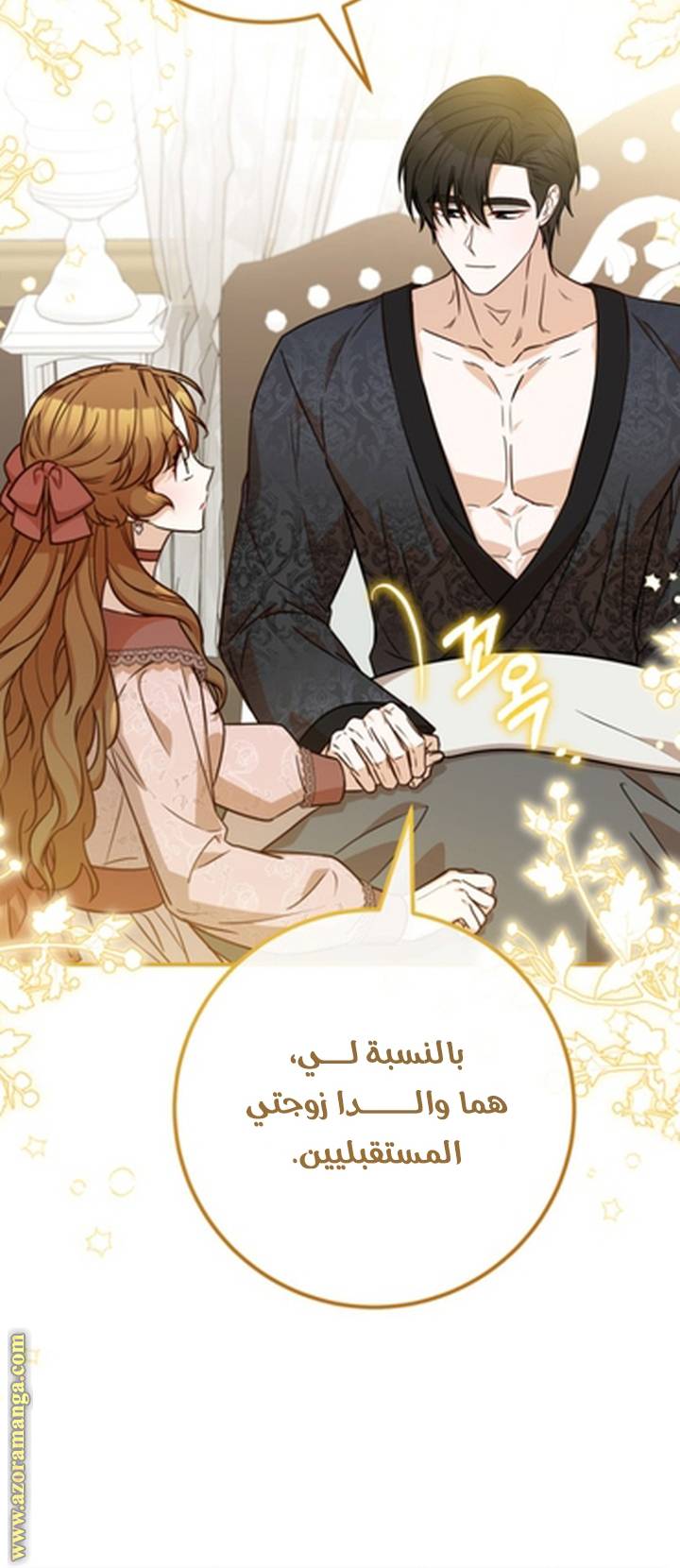 الصفحة 17