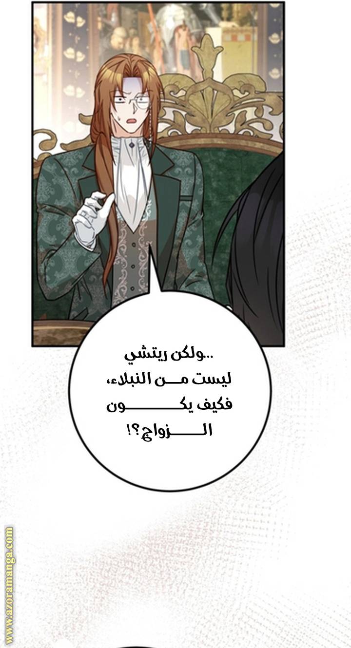 الصفحة 49