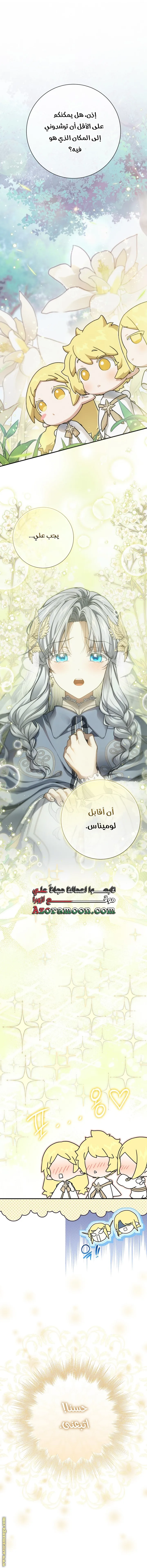 الصفحة 17