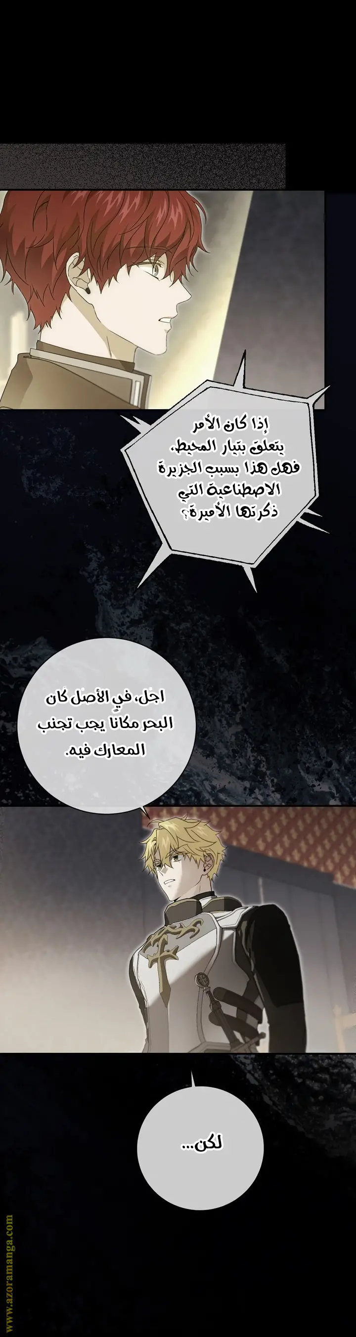 الصفحة 17