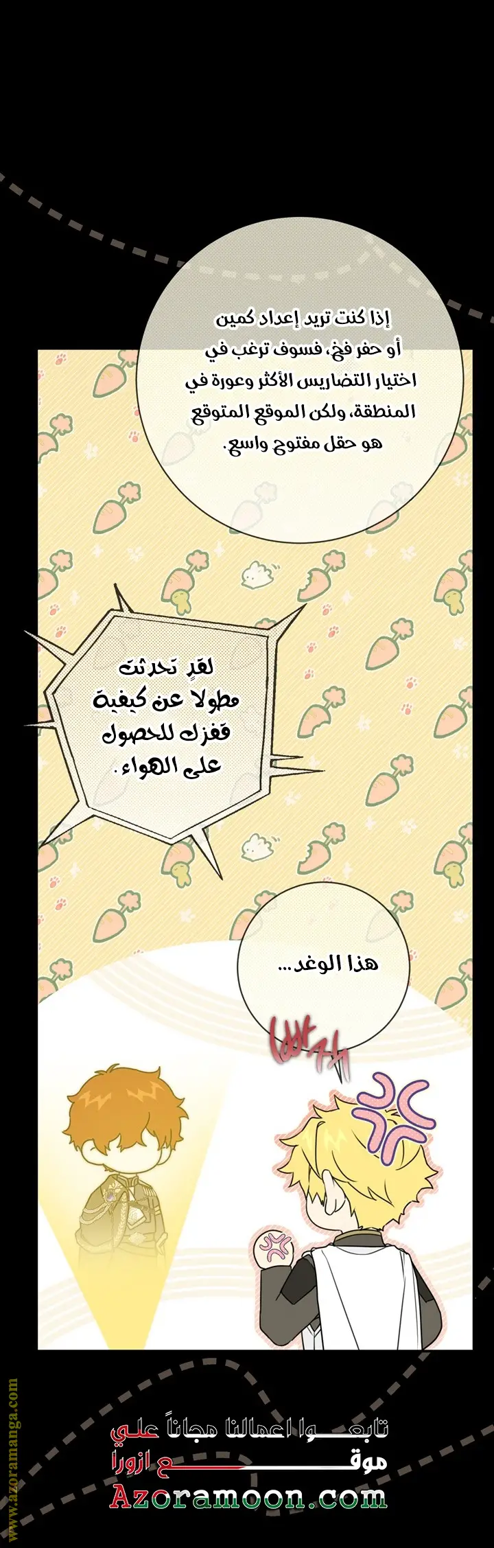 الصفحة 19