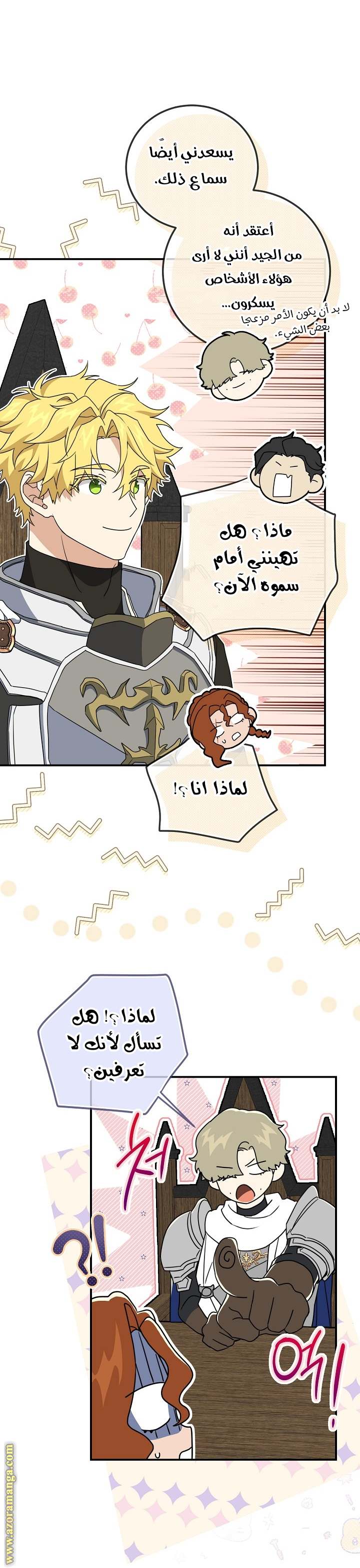 الصفحة 14