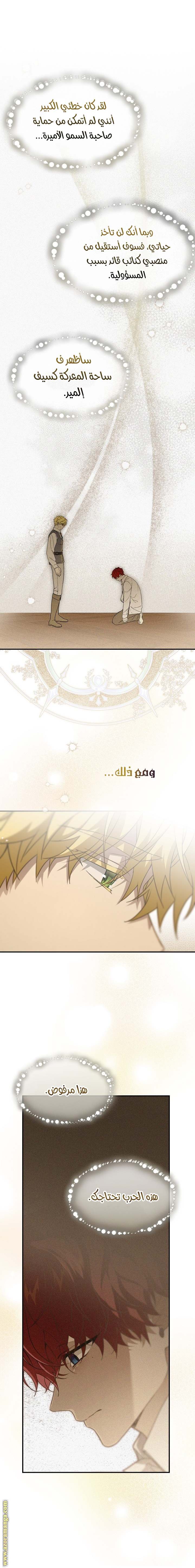 الصفحة 25