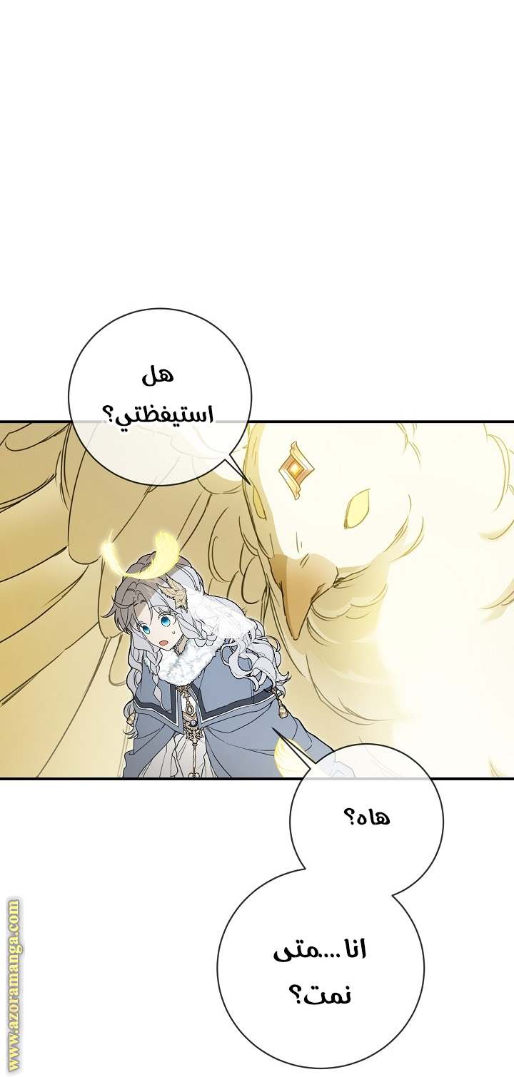 الصفحة 30