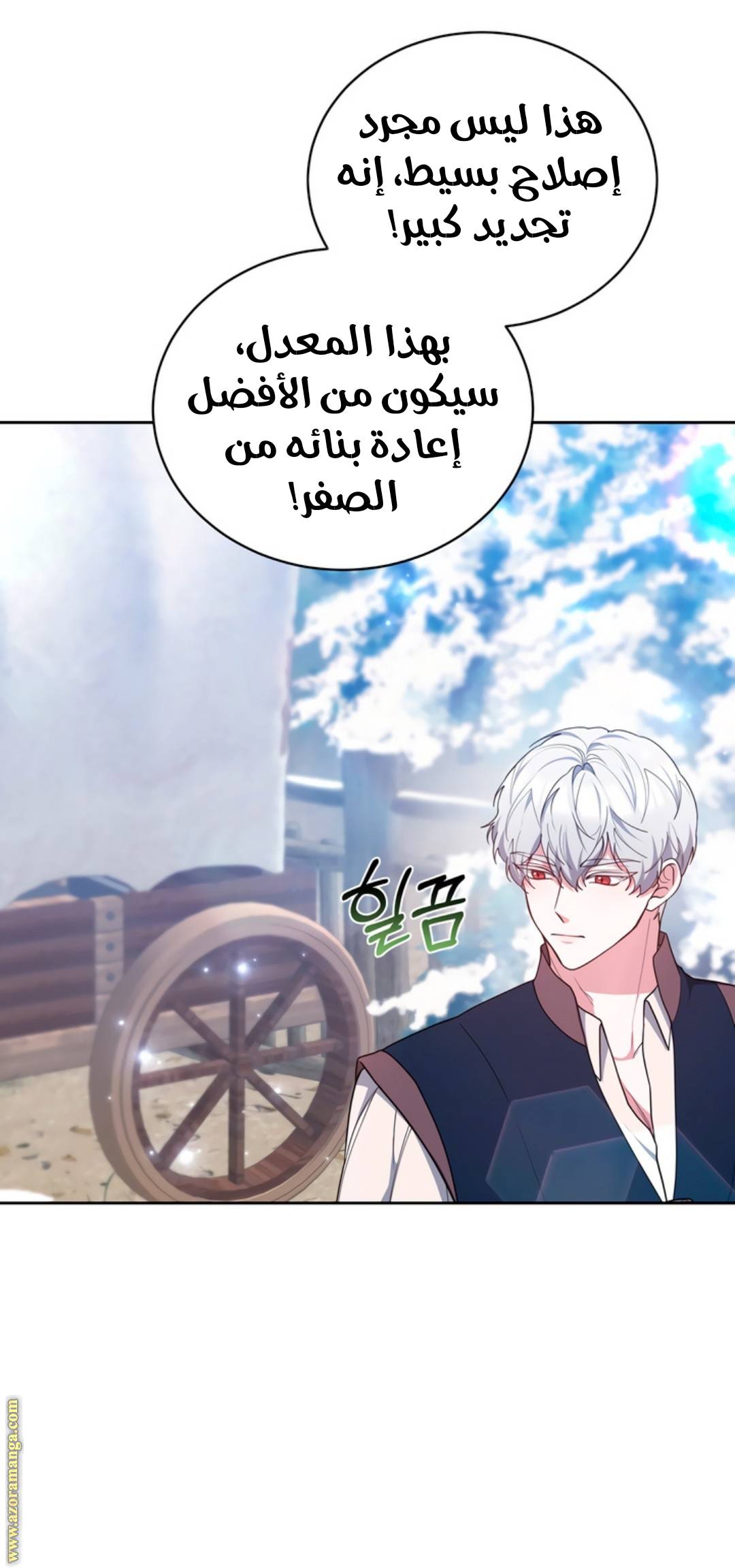 الصفحة 13