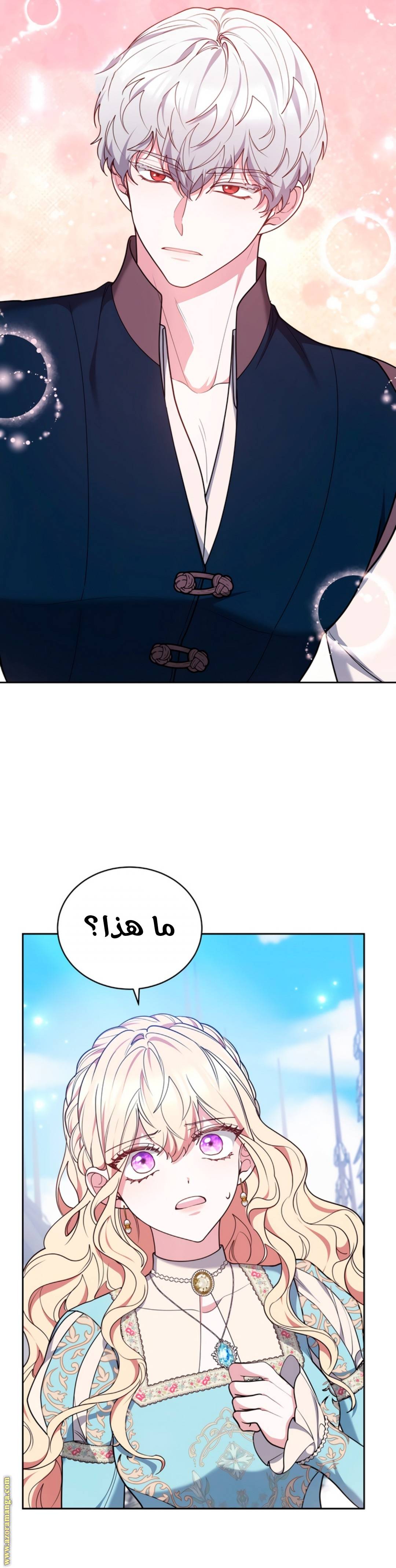 الصفحة 24