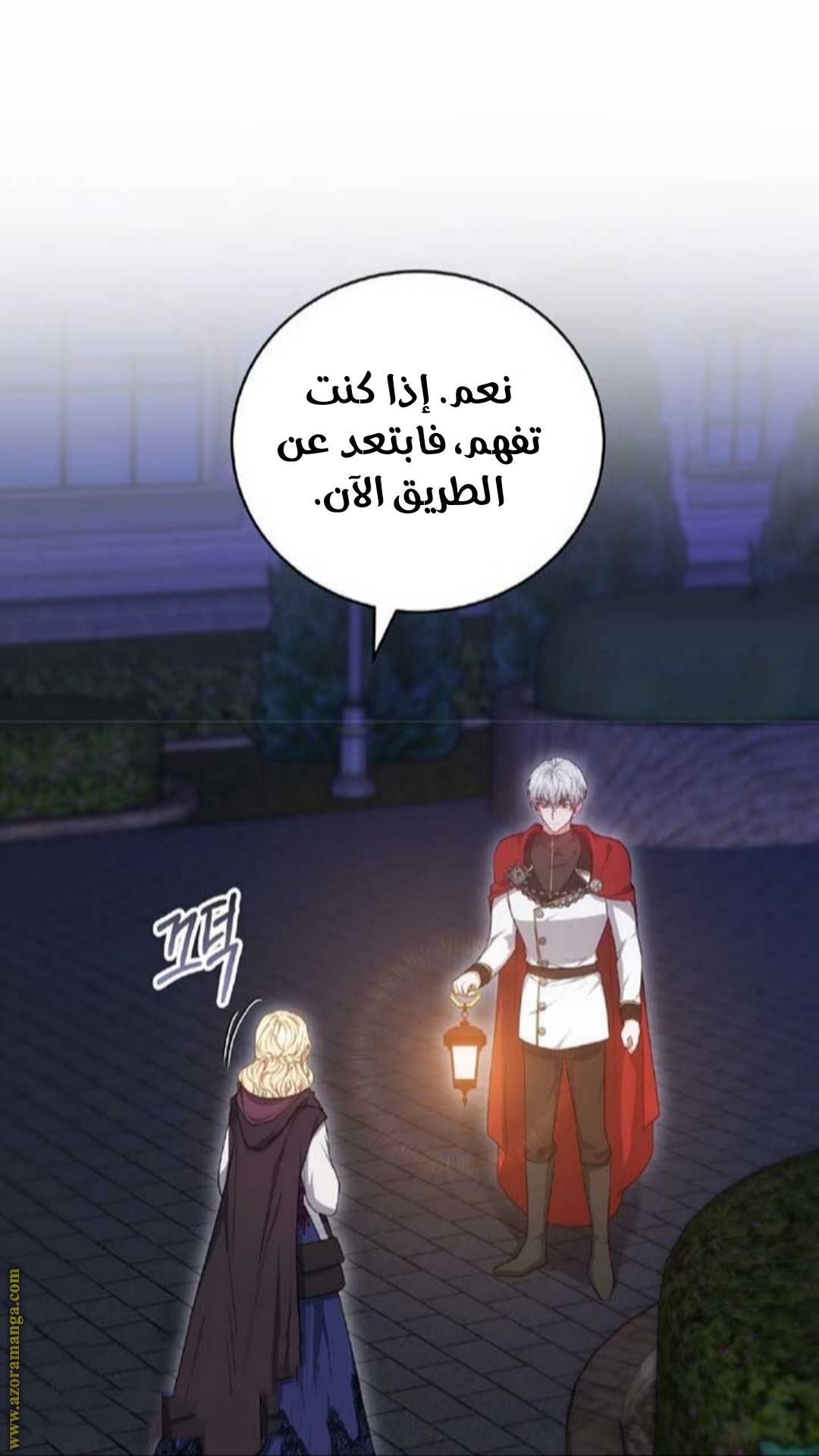 الصفحة 12