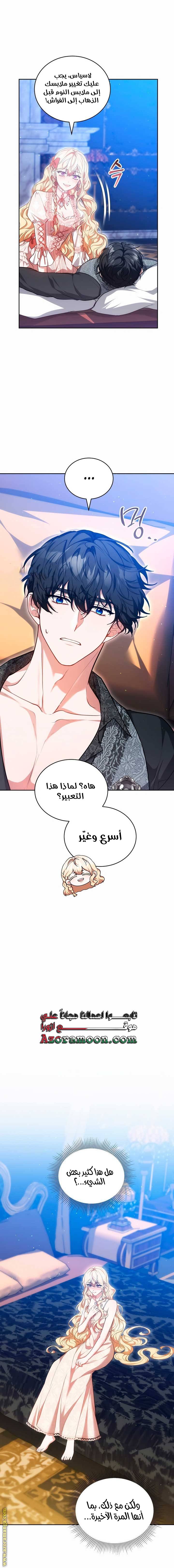 الصفحة 13