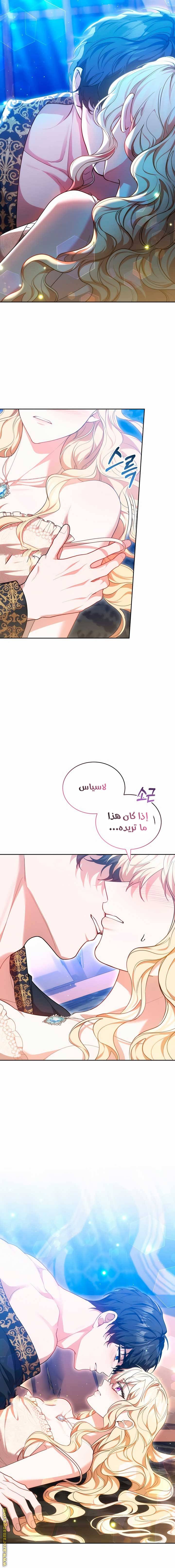 الصفحة 17