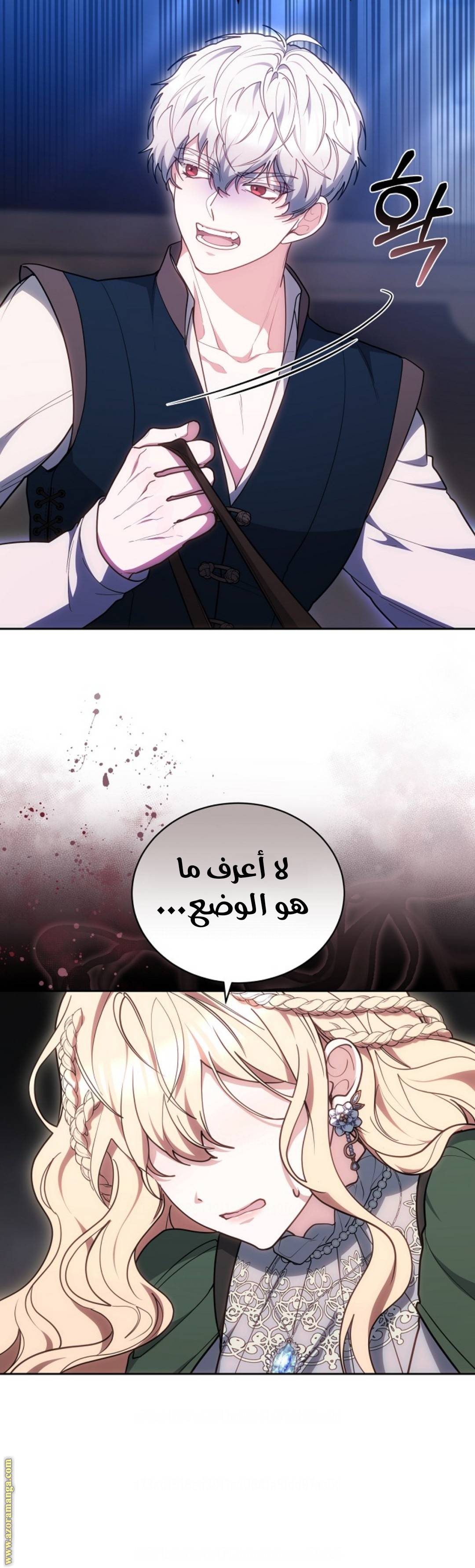 الصفحة 19