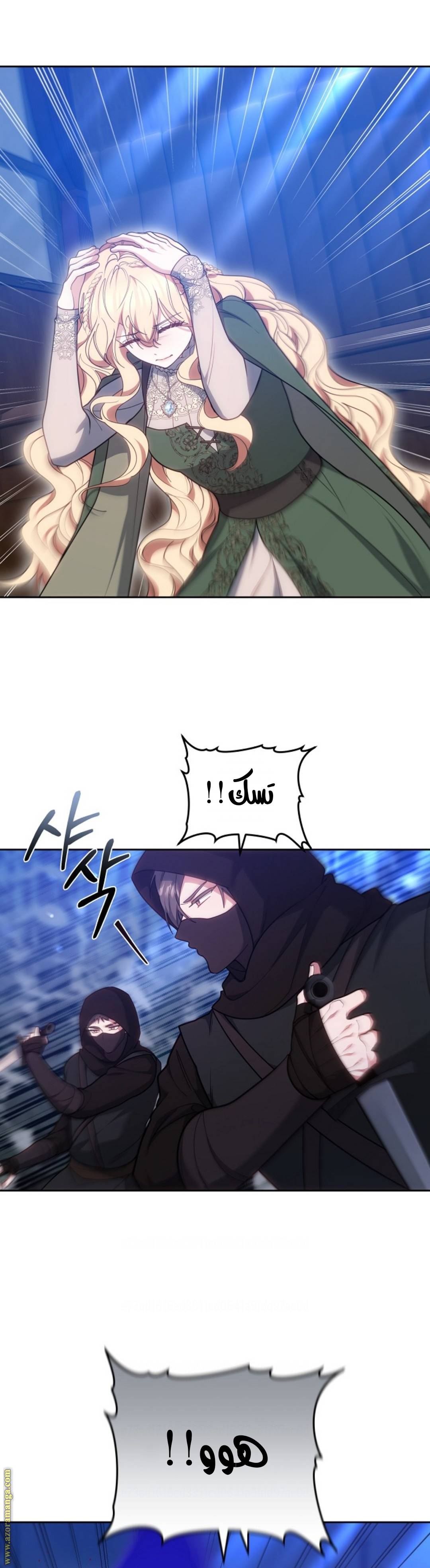 الصفحة 27
