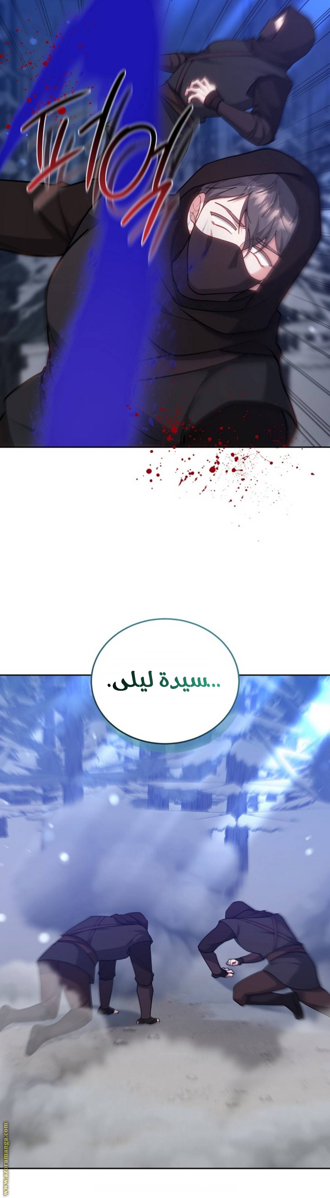 الصفحة 28
