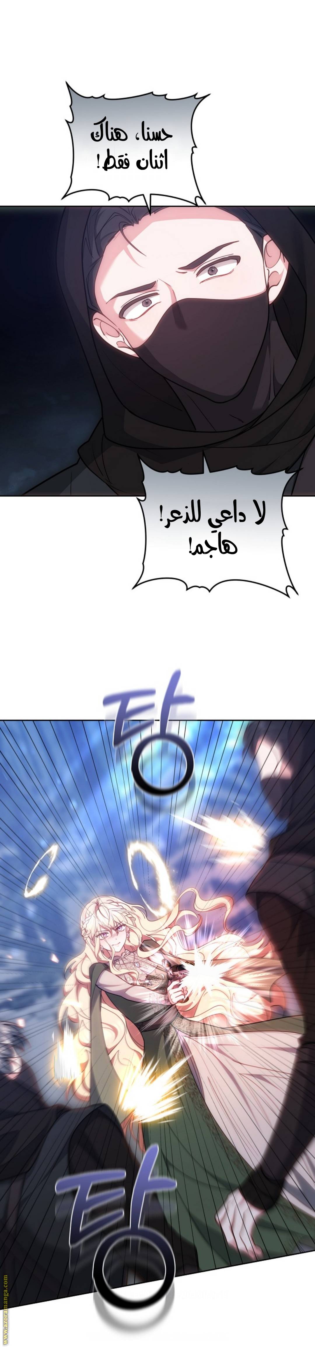 الصفحة 40