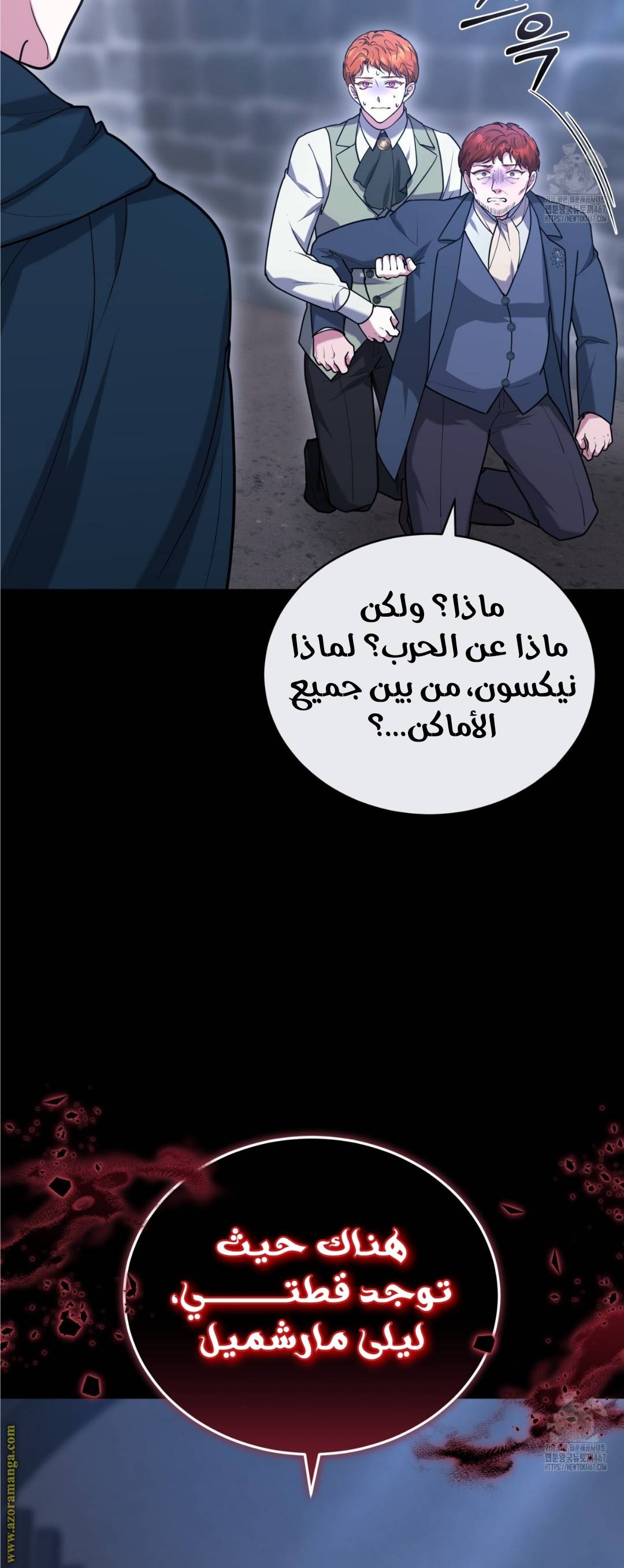 الصفحة 39