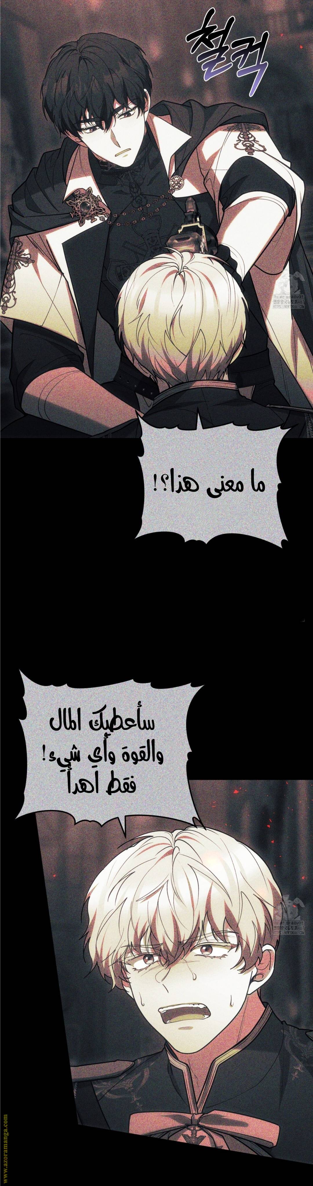الصفحة 42