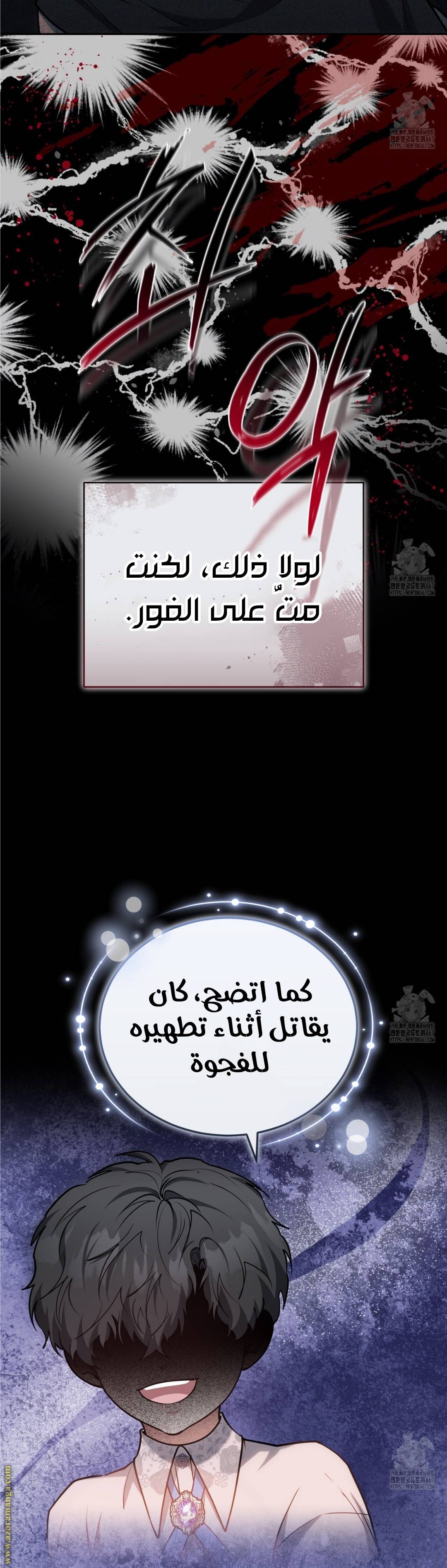الصفحة 46