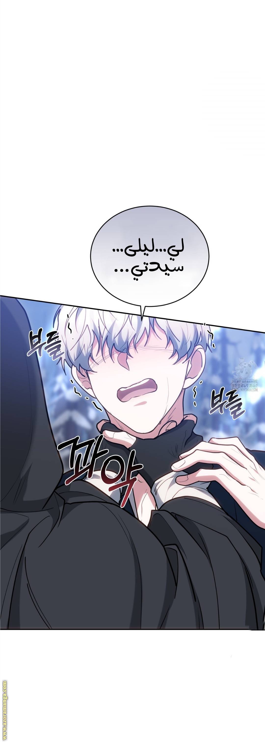 الصفحة 53