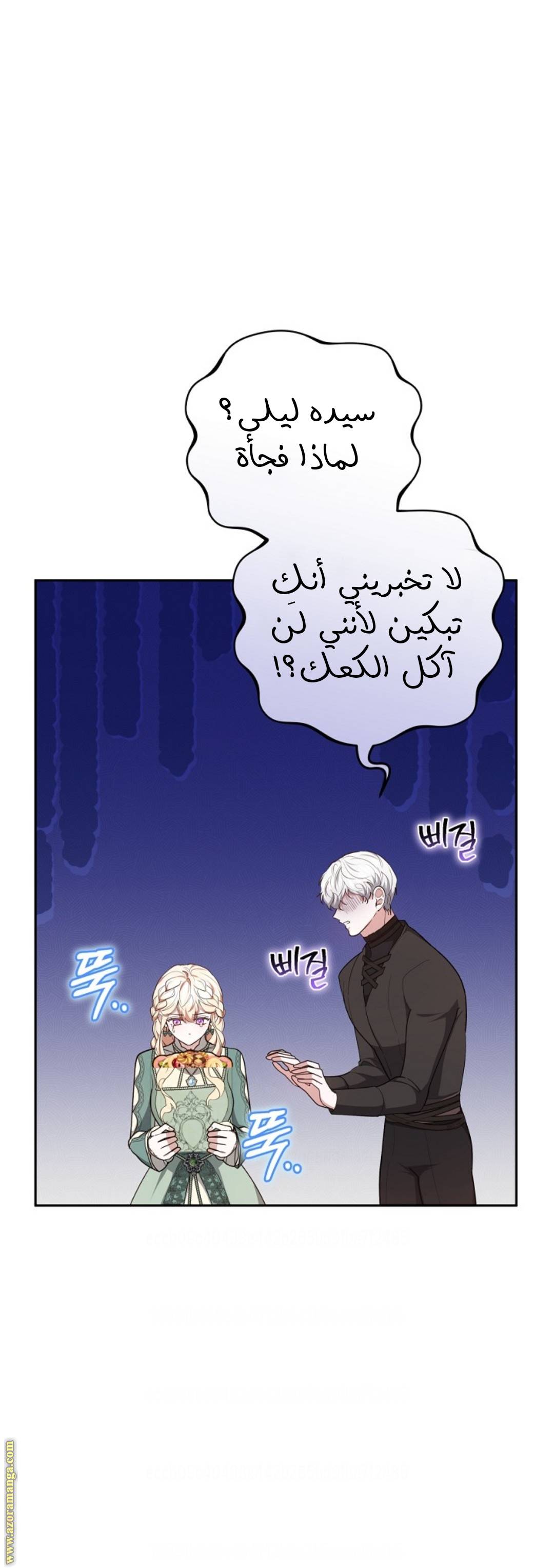 الصفحة 41