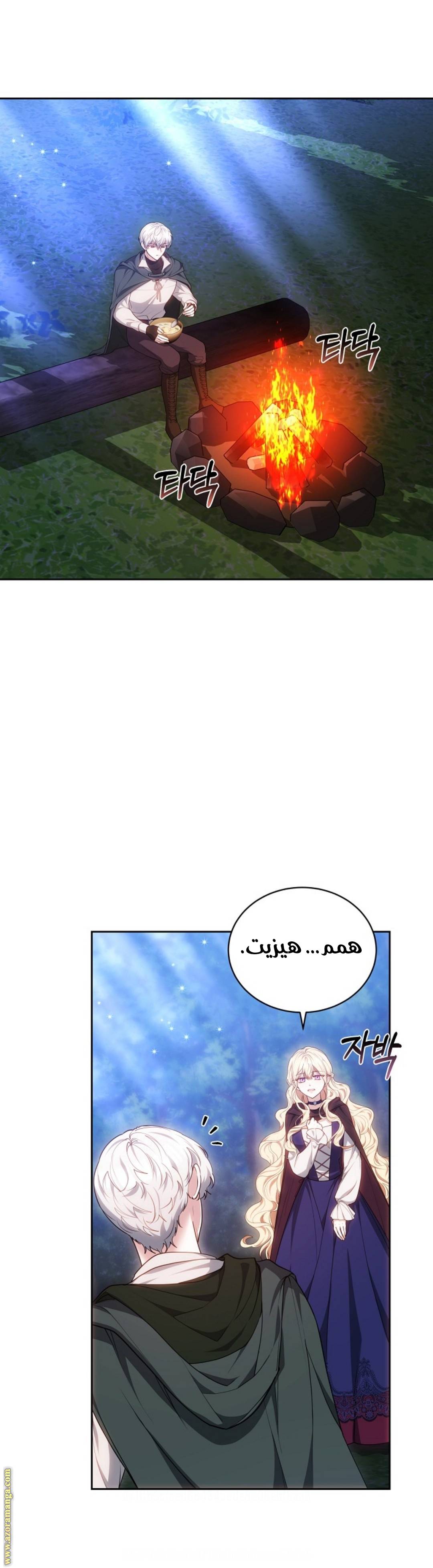 الصفحة 27