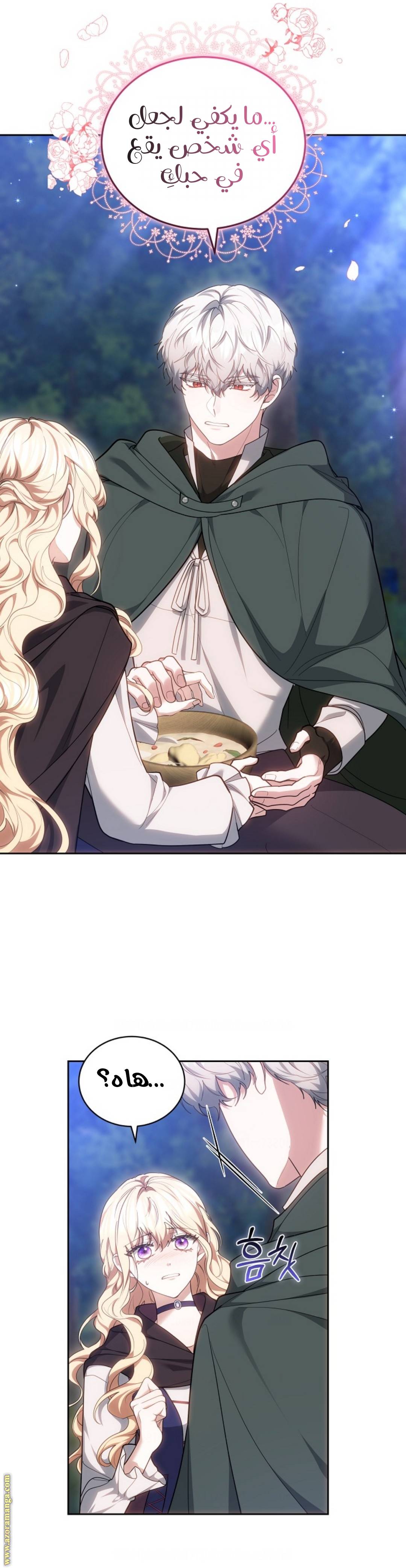 الصفحة 47