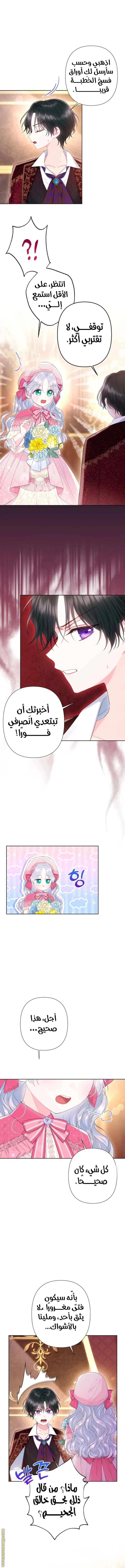 الصفحة 10