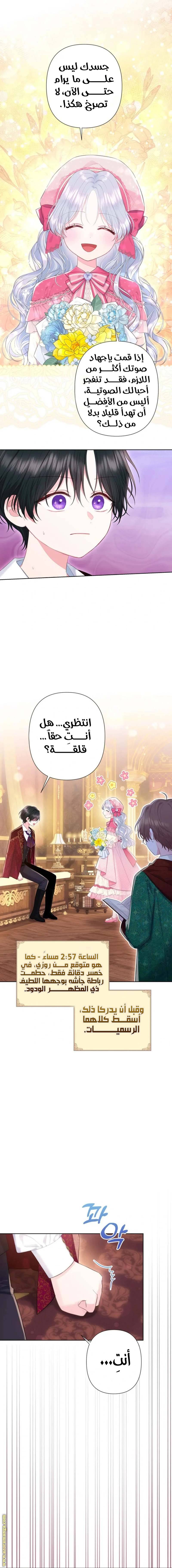 الصفحة 11