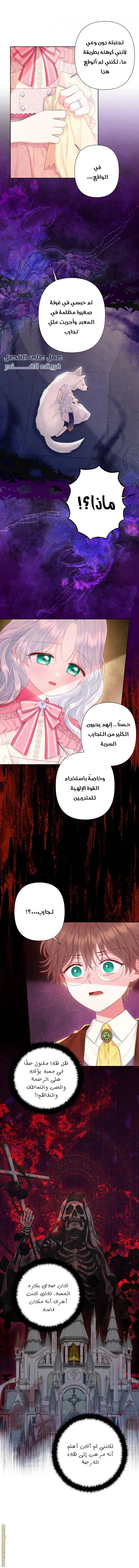 الصفحة 8