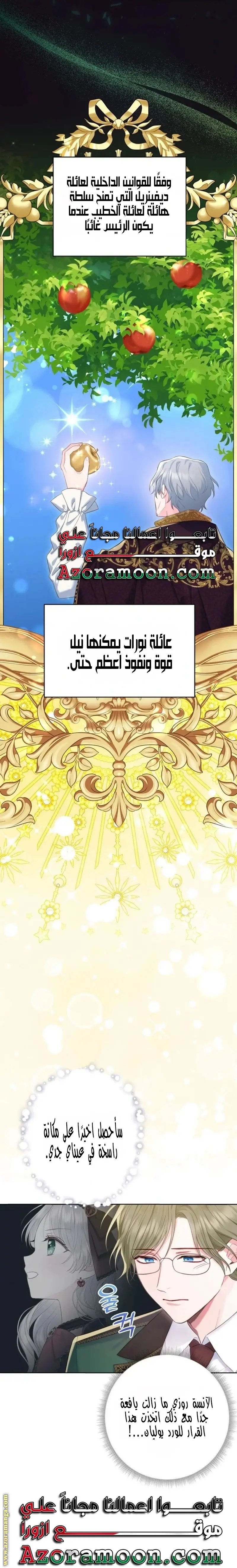 الصفحة 17