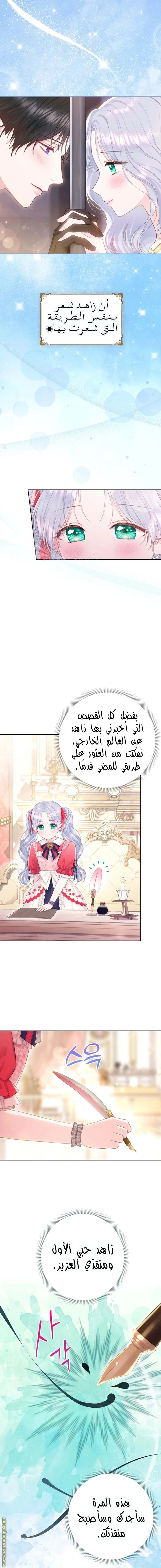 الصفحة 13