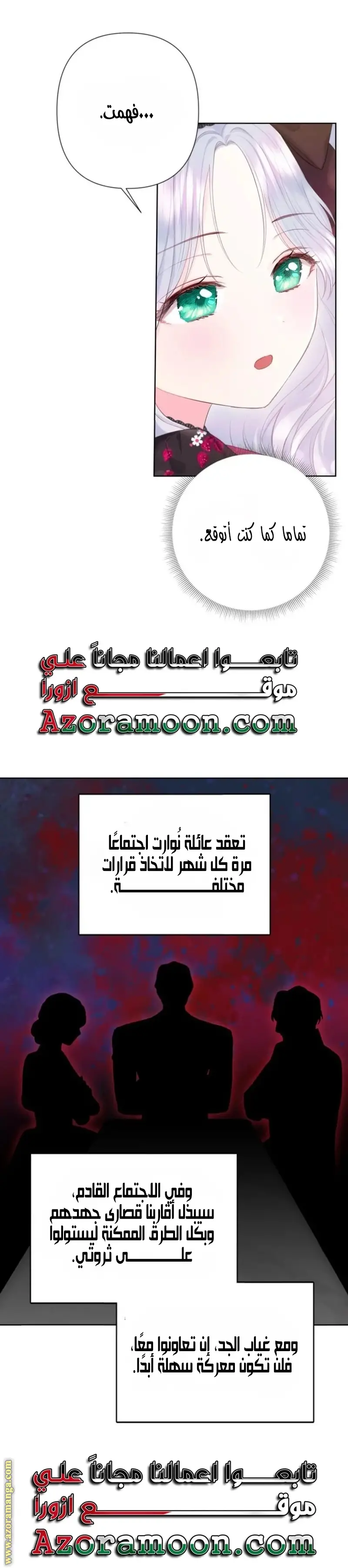 الصفحة 17