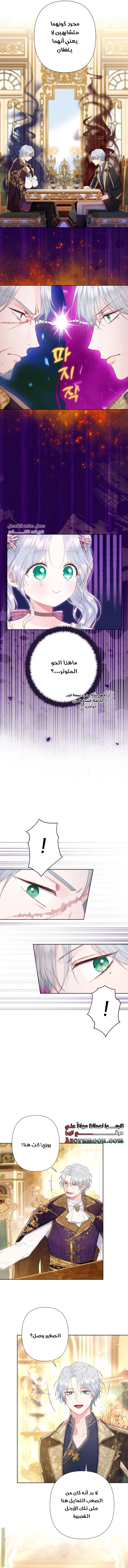 الصفحة 12