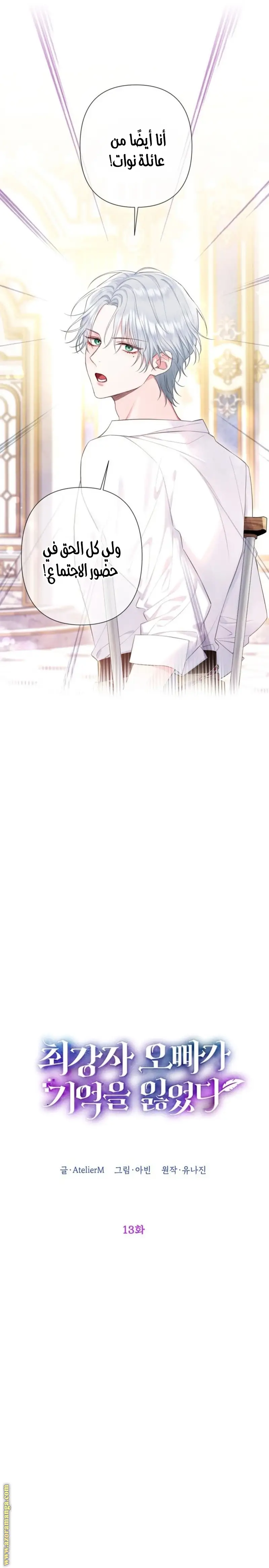 الصفحة 11