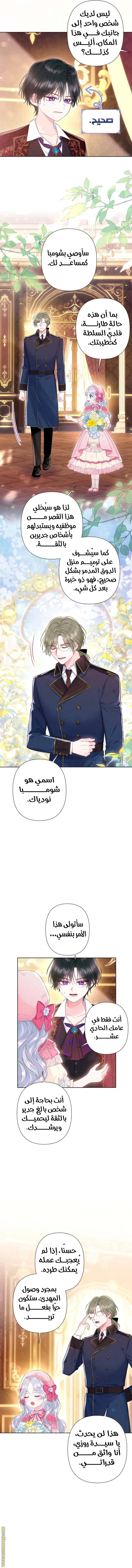 الصفحة 6