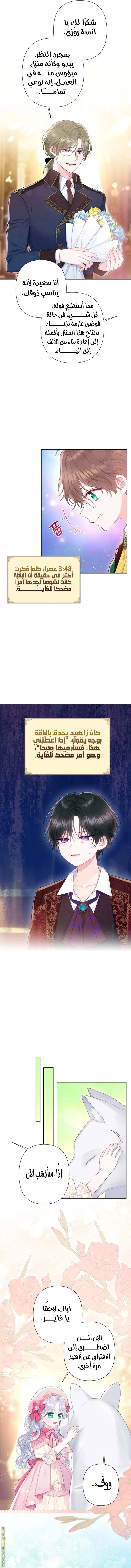 الصفحة 8