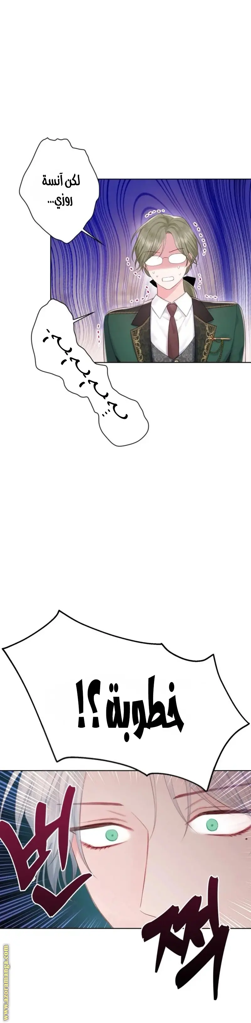 الصفحة 17