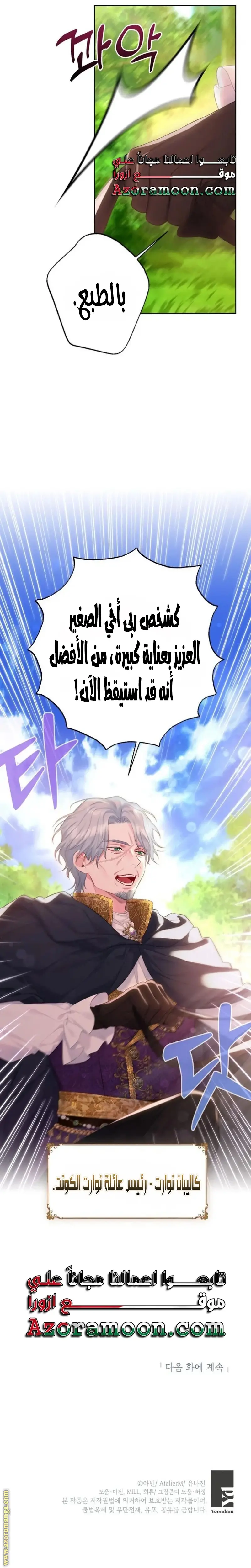 الصفحة 25