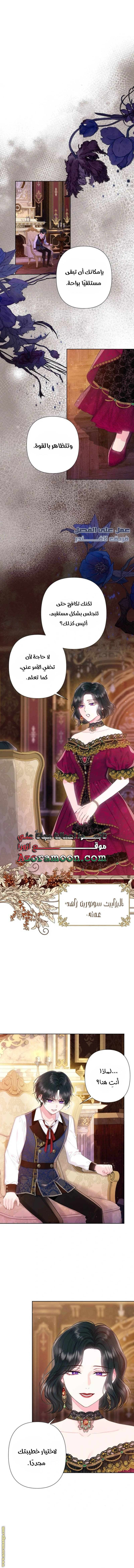 الصفحة 11