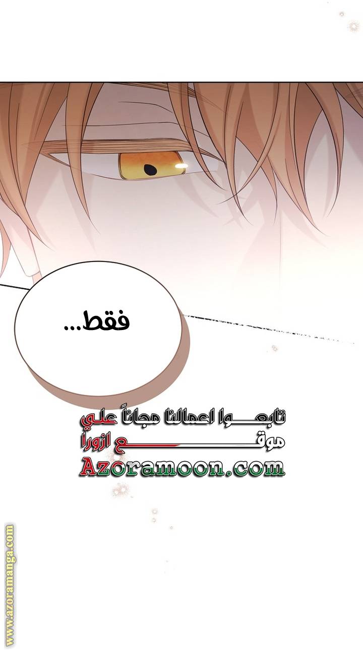 الصفحة 45