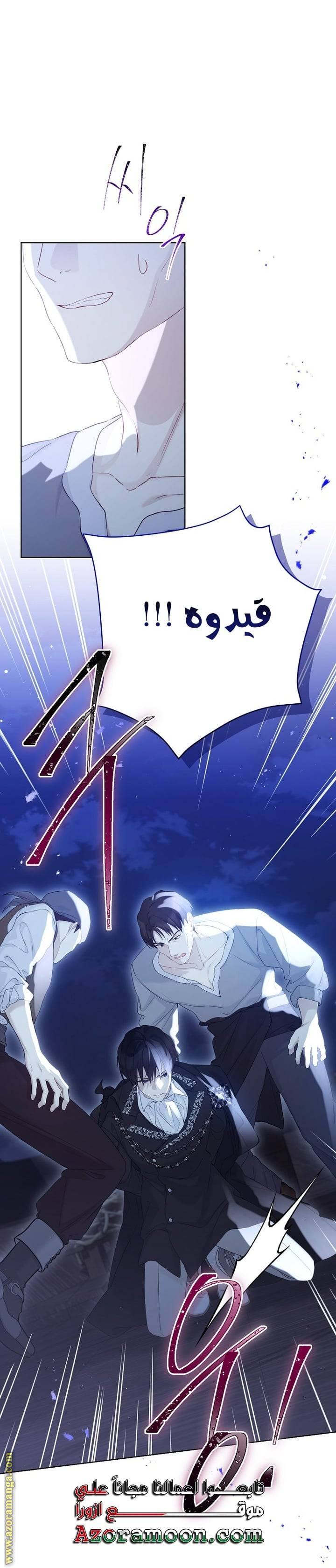 الصفحة 25