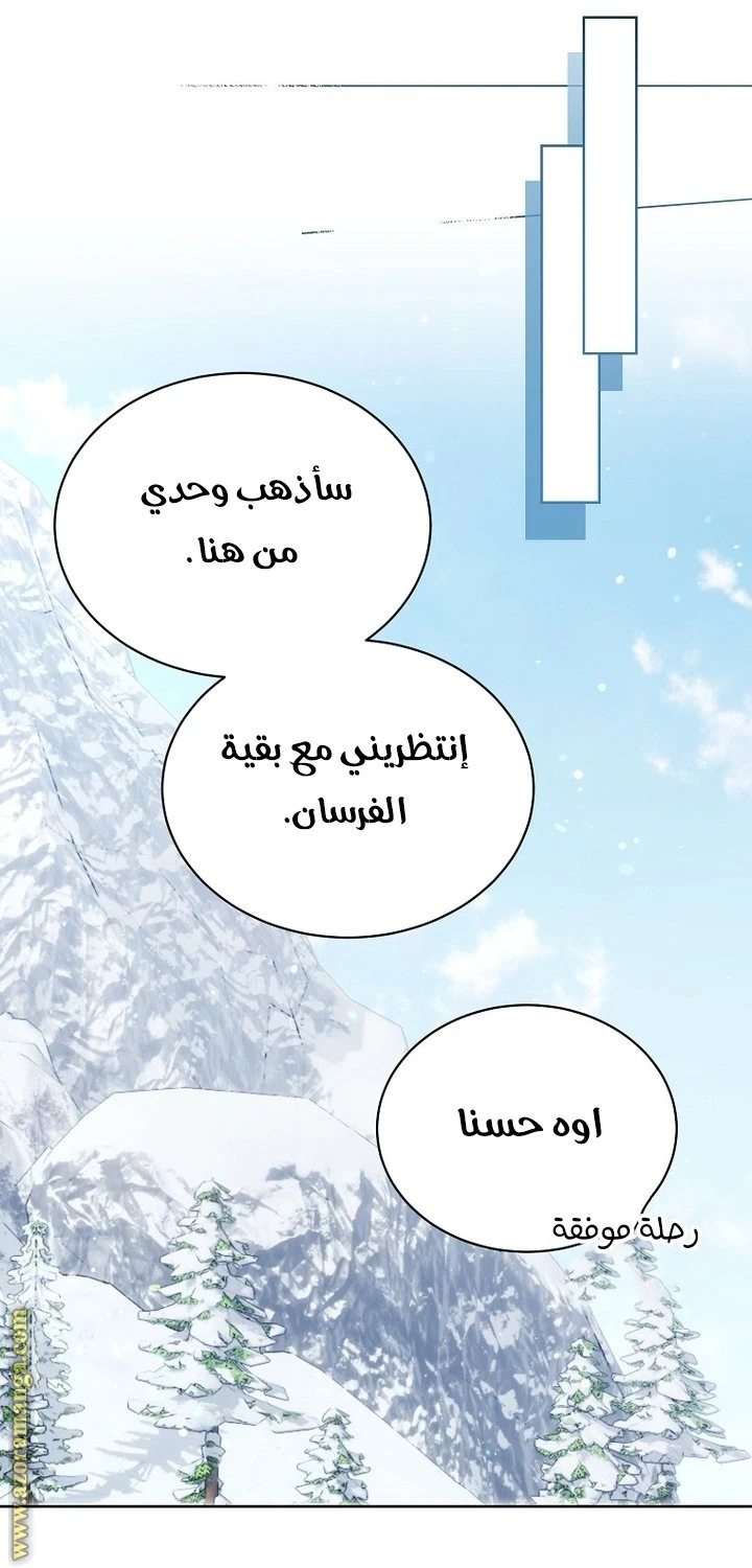 الصفحة 29