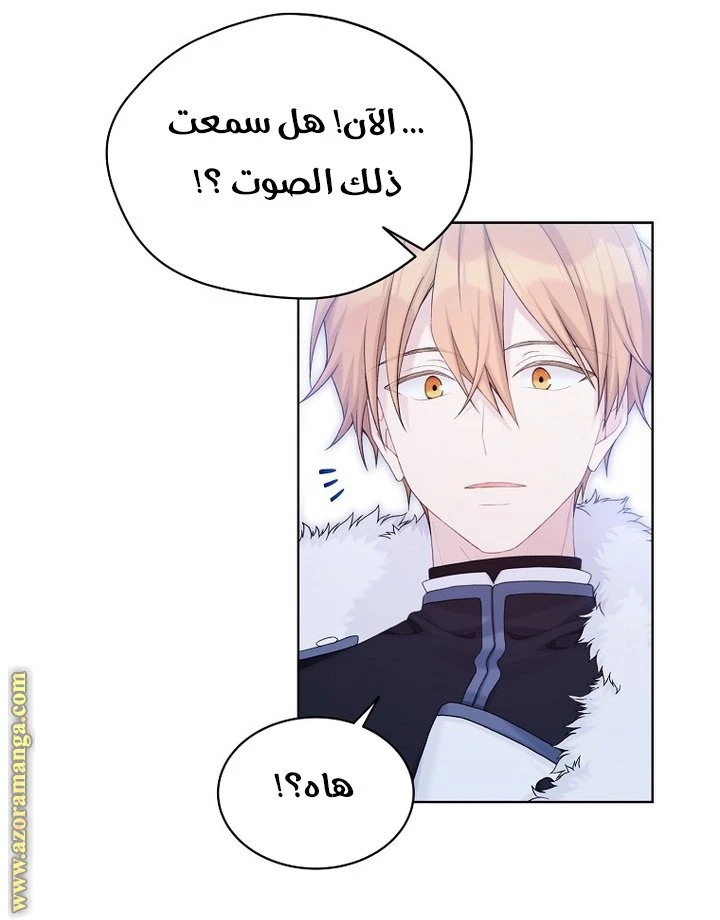 الصفحة 35